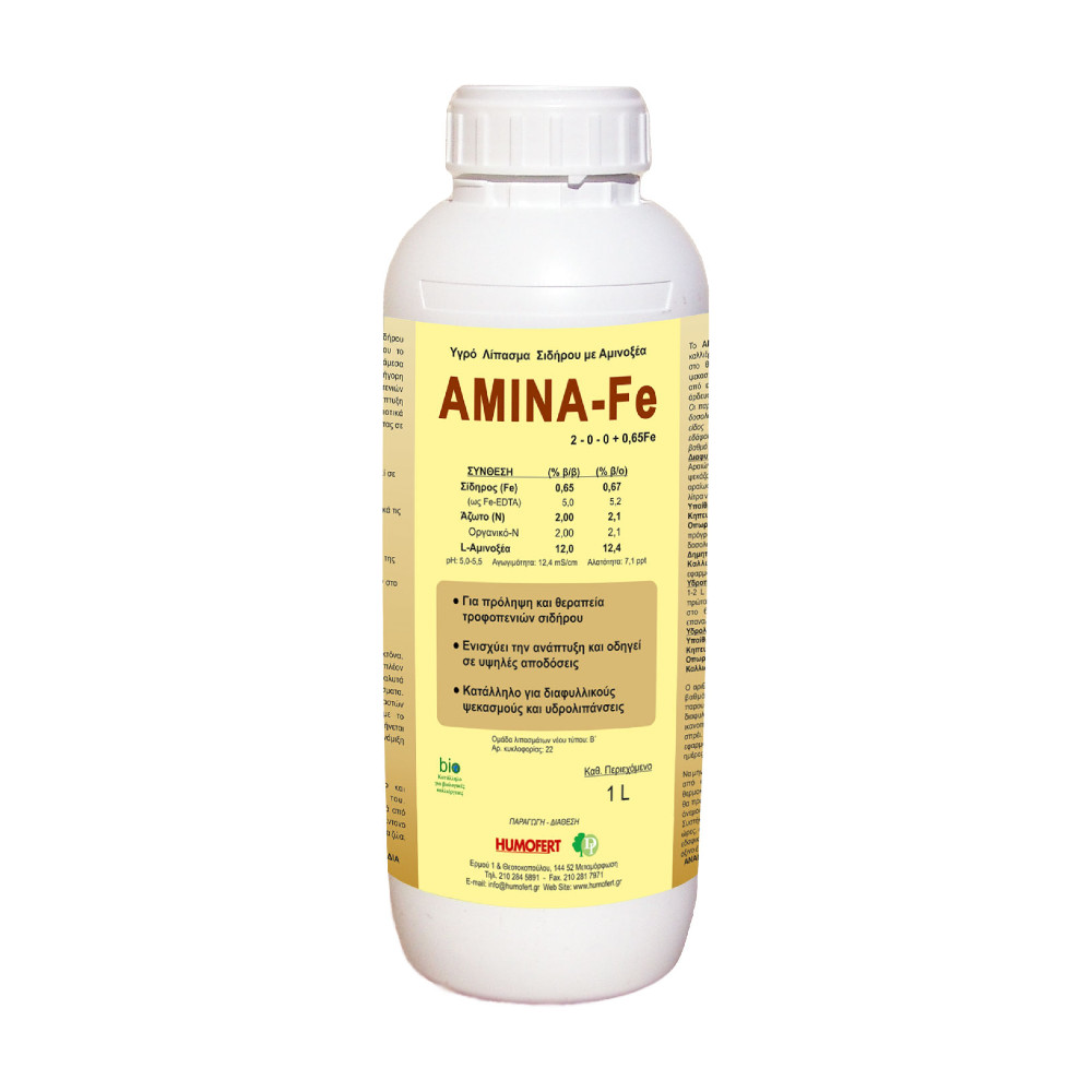 aminafe1