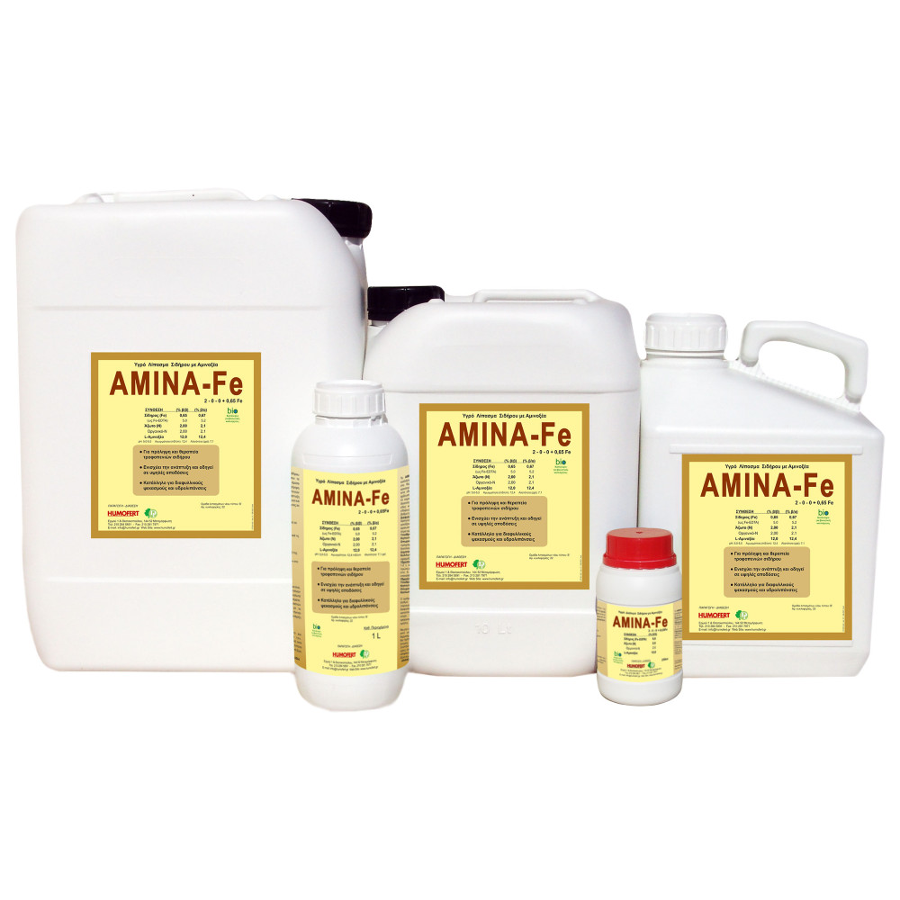 aminafe1